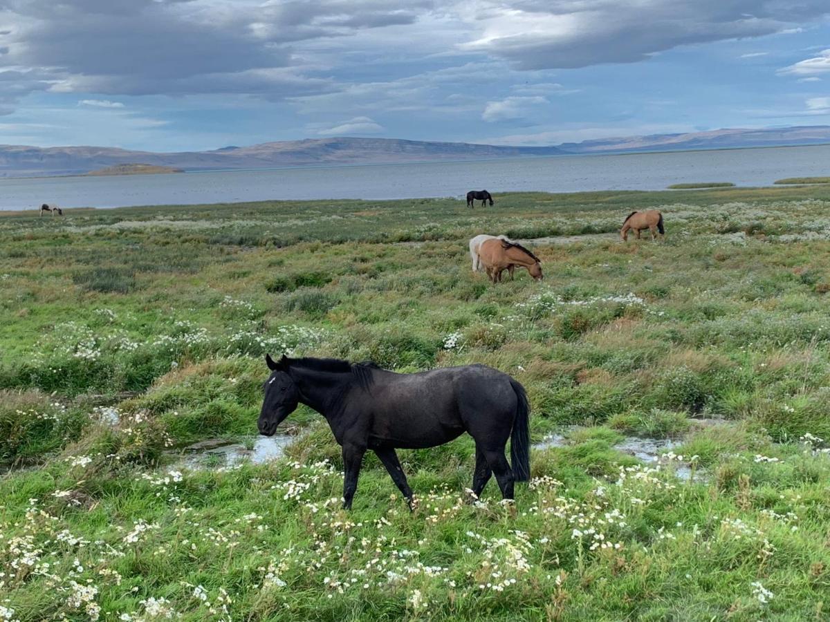 Apart Azul Calafate 埃尔卡拉法特 外观 照片